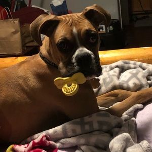 Meet your Posher, Melissa